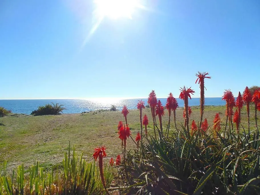 Beautiful Penthouse In A Perfect Location Apartment Estepona