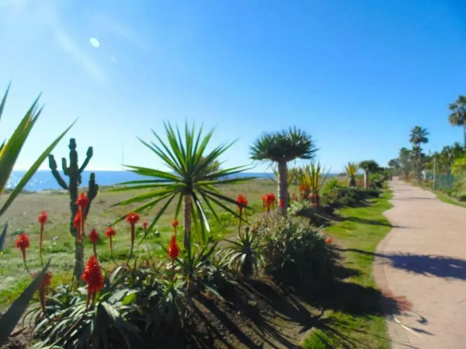 Beautiful Penthouse In A Perfect Location Apartment Estepona